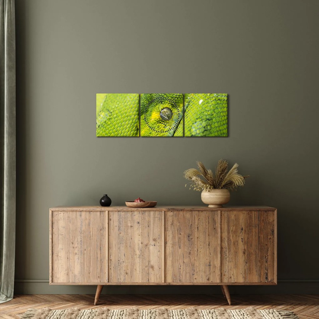 Kígyó képe (órával) (90x30 cm)