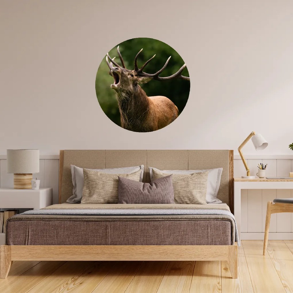 PIPPER. Kör alakú falmatrica "Szarvas 2" Méret: 100cm