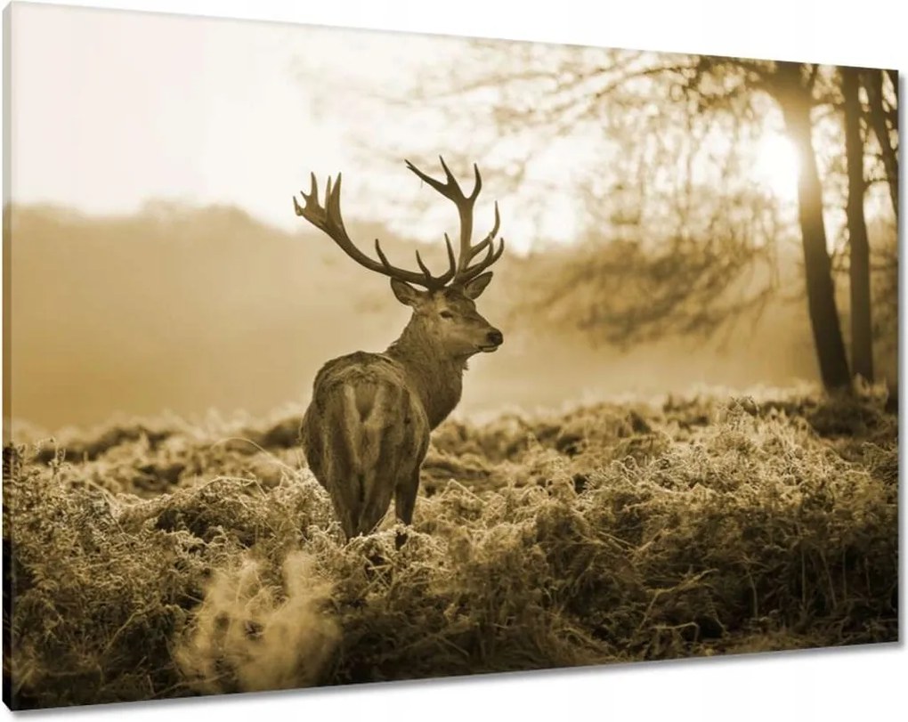 Vászonkép 100x70 Szarvas az erdőben