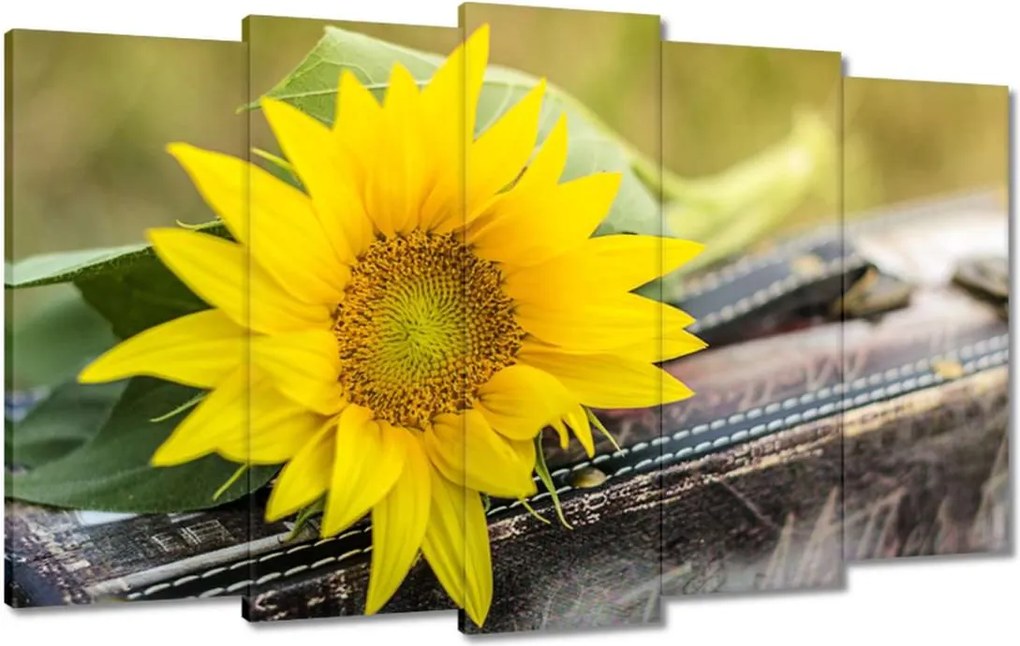 Vászonkép 100x60 Napraforgó a bőröndben