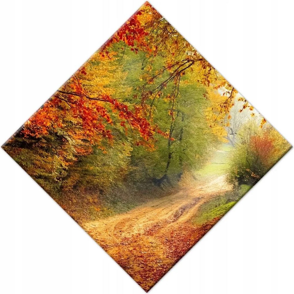 Vászonkép 42x42 Út az erdőben ősz