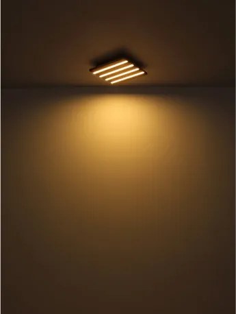 GLOBO 67347D4 HAYDEN Modern LED Mennyezeti Lámpa IP20