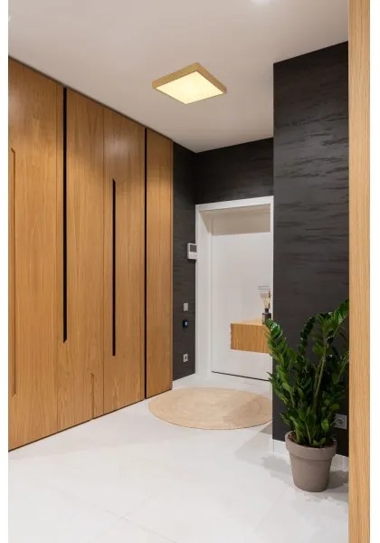 Globo 12382-22 - LED Mennyezeti lámpa TIBEY LED/22W/230V 35x35 cm