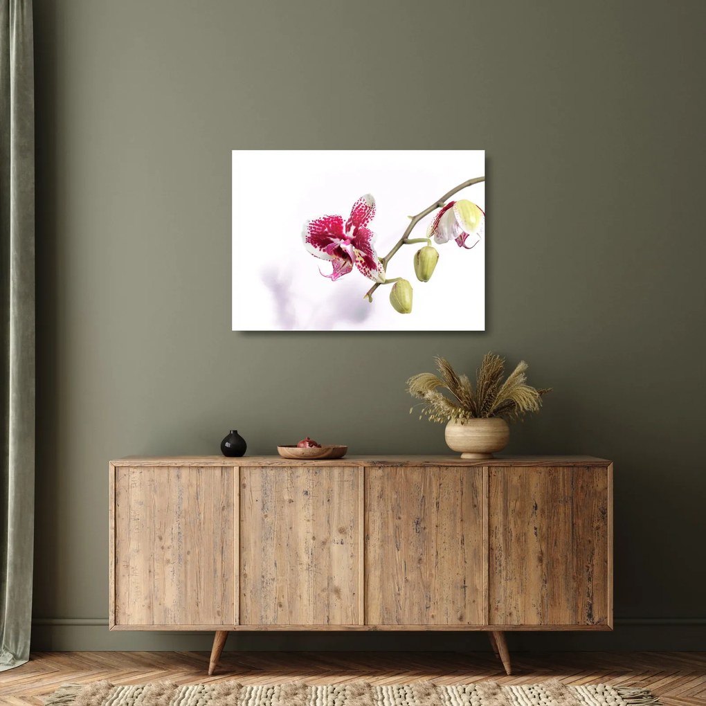 Orchidea virág képe (üvegen) (70x50 cm)