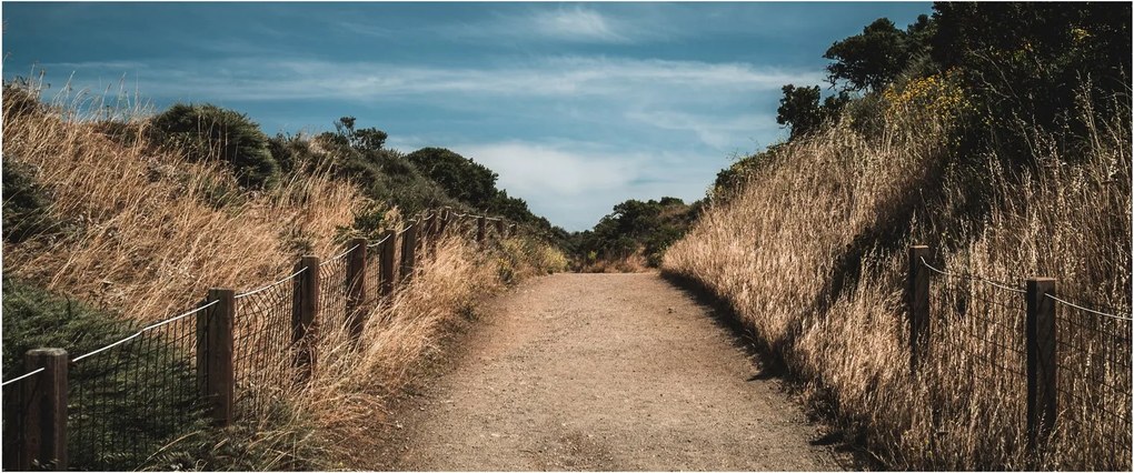 Kép - A járdán (120x50 cm)