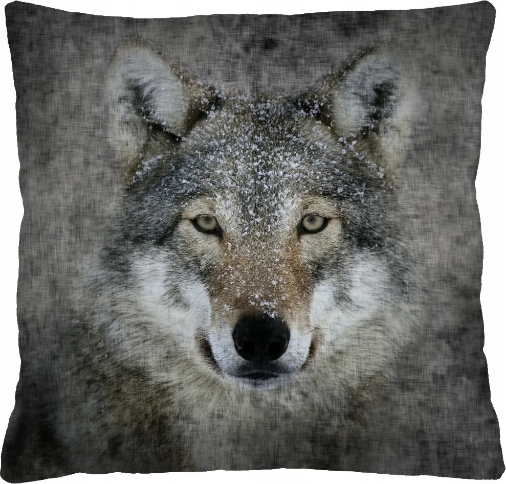 Puha szilikon betétes párna Bertoni 40x40 Lupo nyomtatással