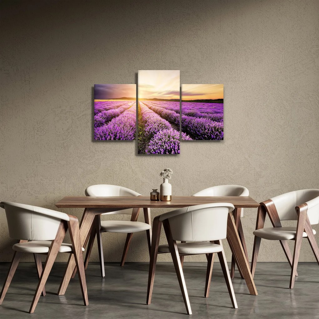 Kép - Napfelkelte levendulamezőn (90x60 cm)
