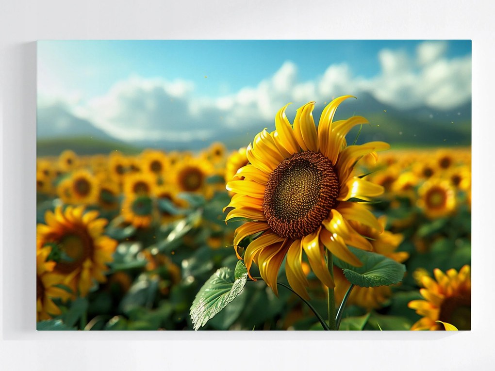 Poszter Természet Napraforgó Virág Nap 120x80