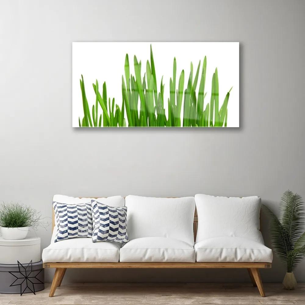 Akrilkép Grass A Wall 125x50 cm
