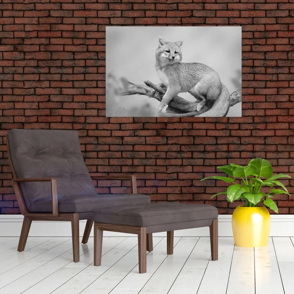 Kép - Szürke róka (90x60 cm)