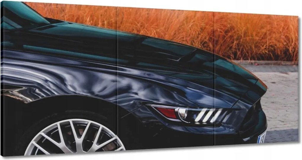 Képek 180x90 Ford Mustang Usa autó