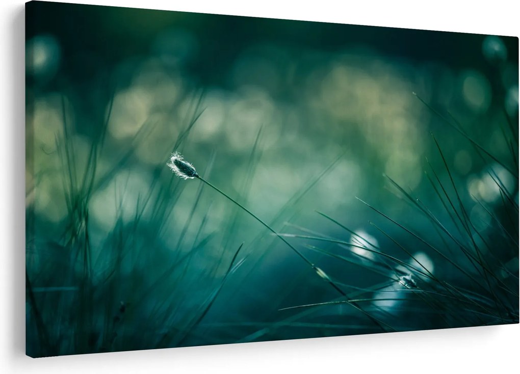 Kép - A fű részlete (90x60 cm)