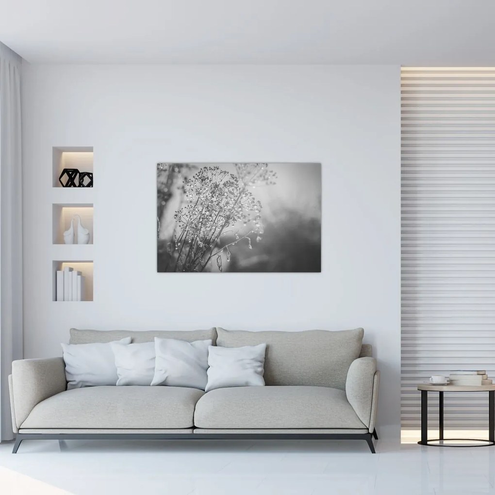 Kép - Mező az eső után (90x60 cm)