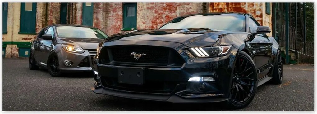 Fotótapéták 624x219 Fekete amerikai szörny