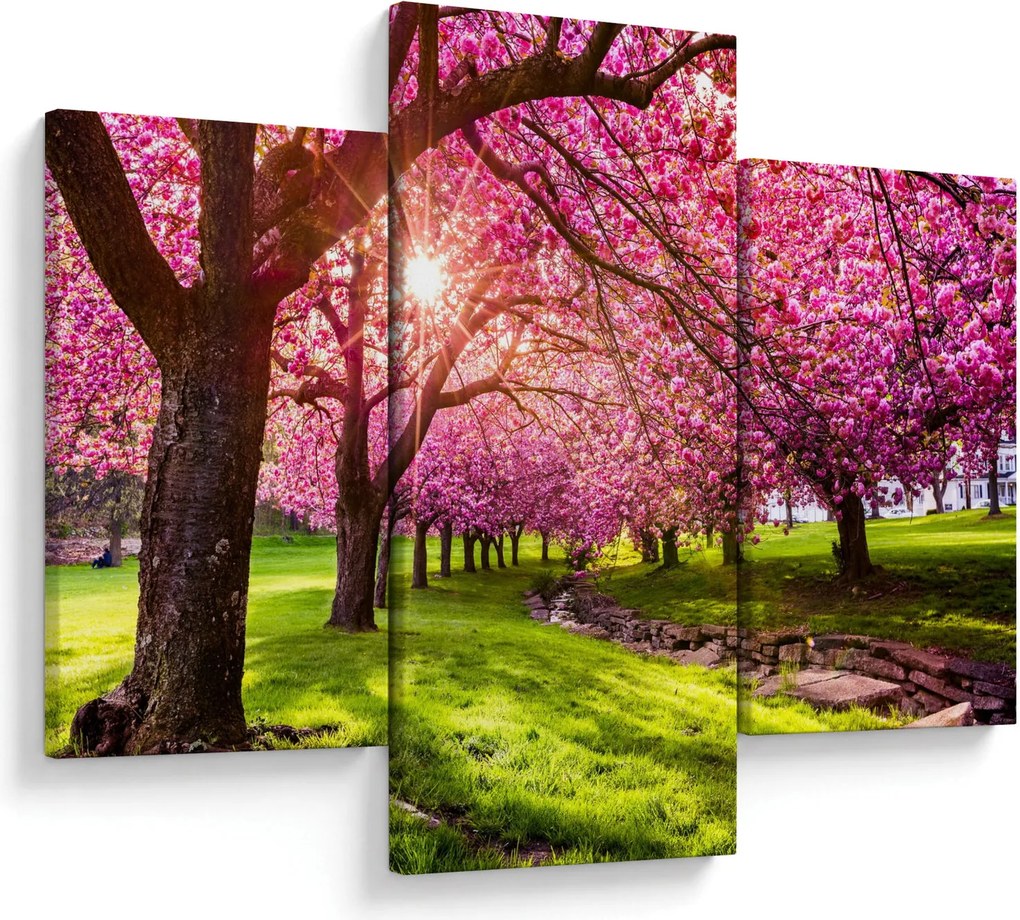 A virágzó cseresznye képe, Hurd Park, Dover, New Jersey (90x60 cm)