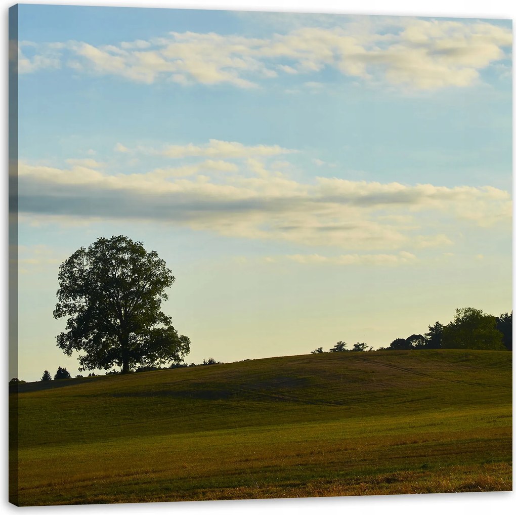 Vászonkép Természet Magányos fa naplementekor 40x40 cm