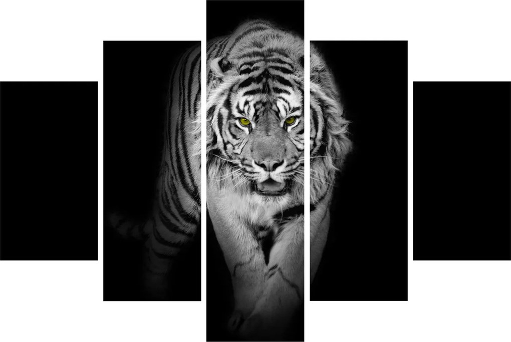 Kép - Sárga szemű tigris (150x105 cm)