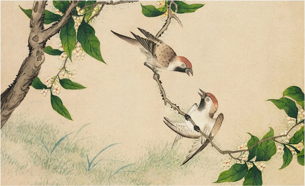 Flizelina Dekoratív Fotótapéta Hálószobába Klasszikus duó 416x254 Ragasztó