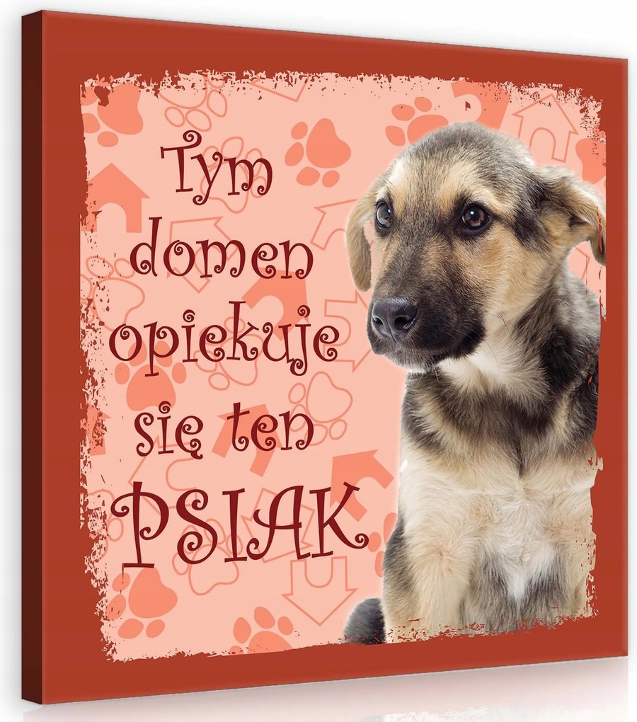 Vászonkép 40x40 Dombok dűnék ég felhők naplemente természet nyugalom meleg