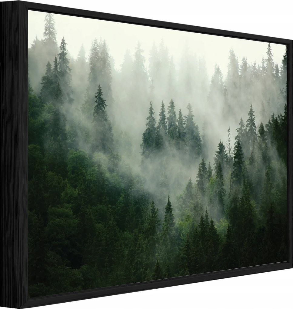 Vászonkép Fekete Keretben Erdő A Ködben Természet Nappali Hálószoba 60x40
