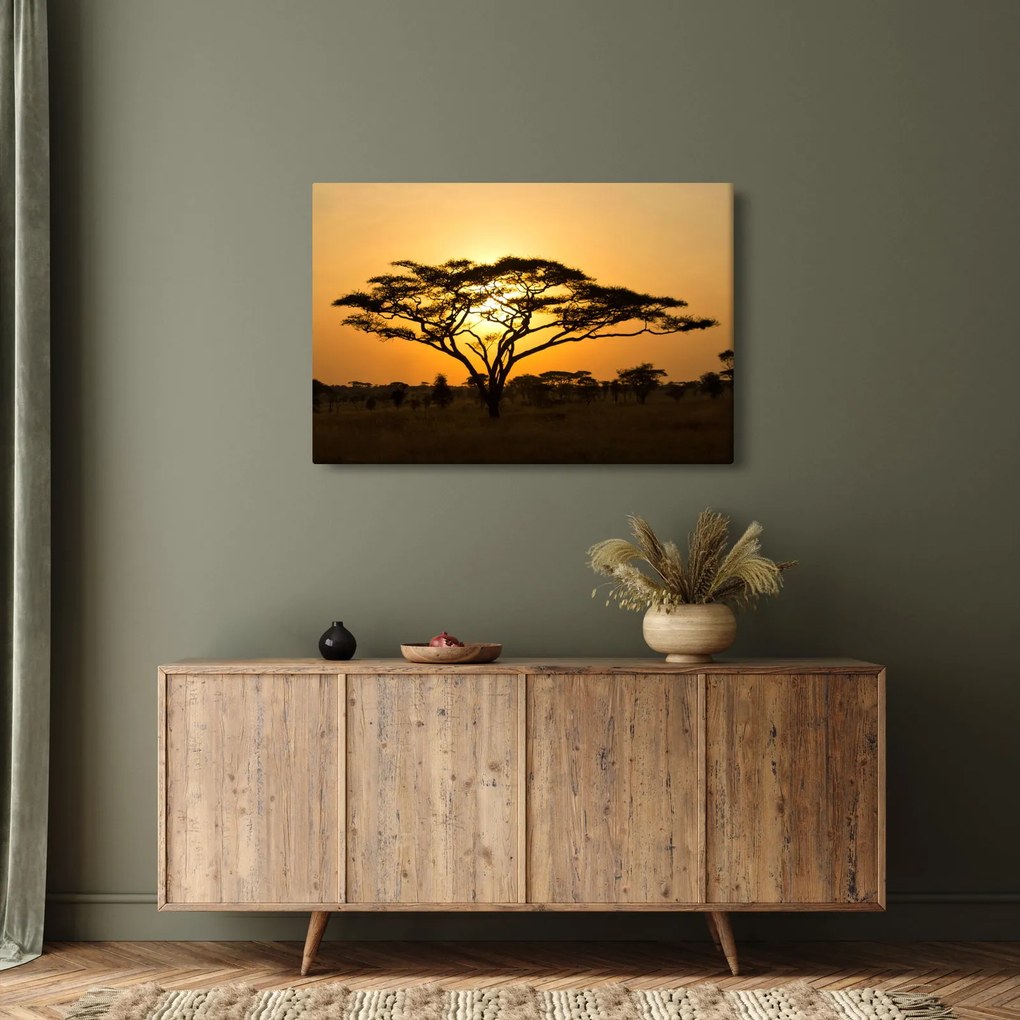 Kép - afrikai szavanna (90x60 cm)