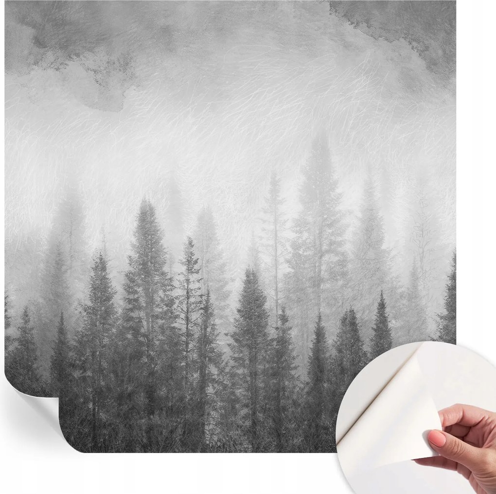 Öntapadós Dekoratív Fotótapéta Hálószobába Erdei köd 250x250 cm