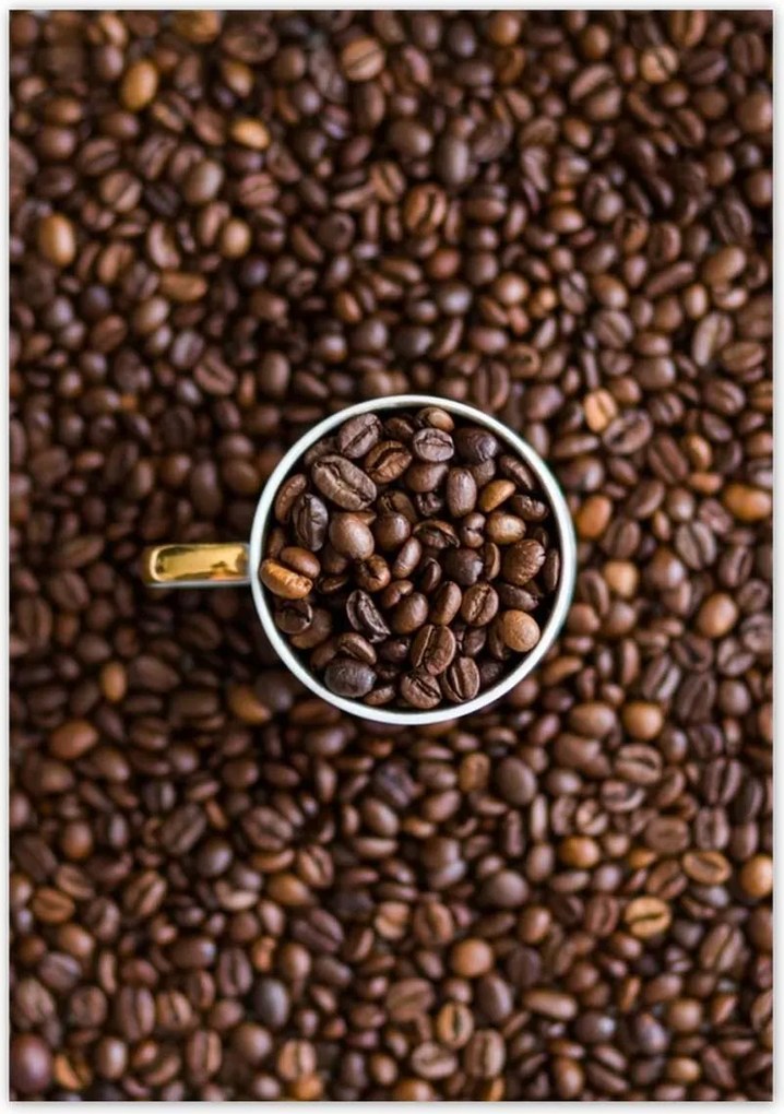 Poszterek 70x100 Kávébab