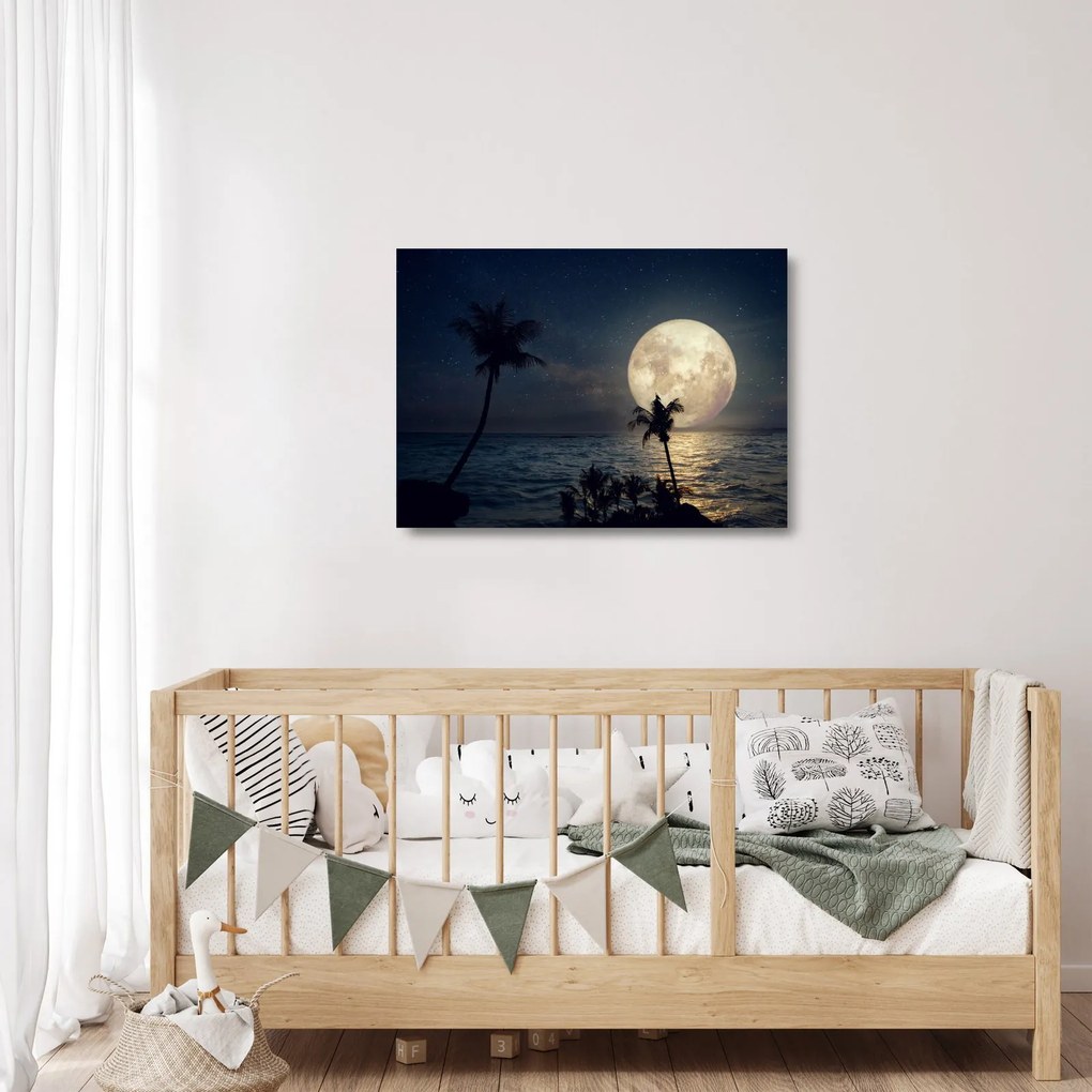 Üveg kép - Strand teliholddal (70x50 cm)