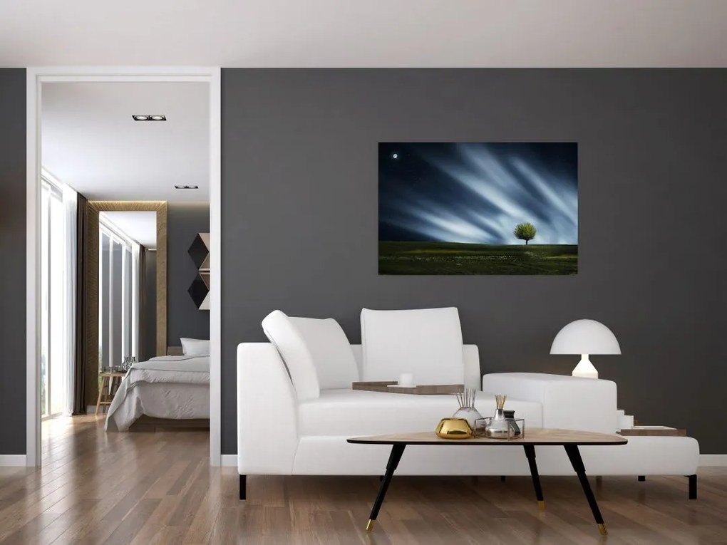 Az aurora borealis képe egy lápvidéken (90x60 cm)