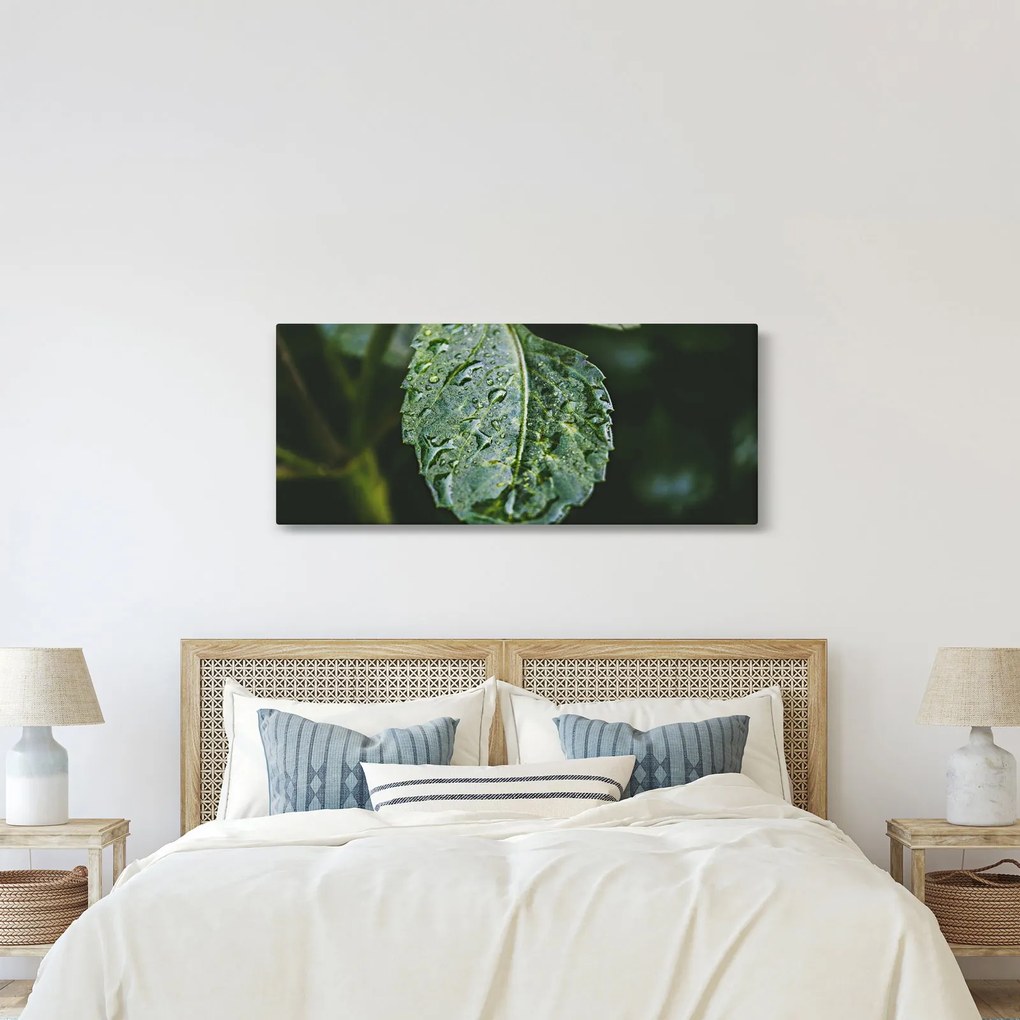 Kép - cseppek a levelen (120x50 cm)