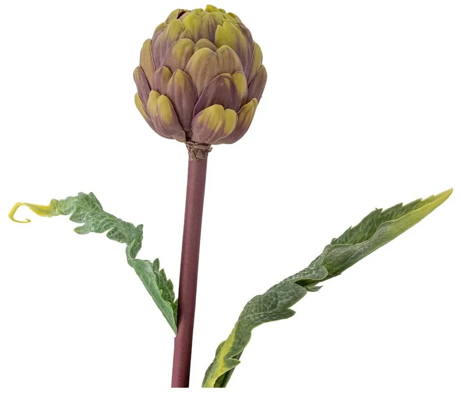 Művirág (magasság 54 cm) Protea – Bloomingville
