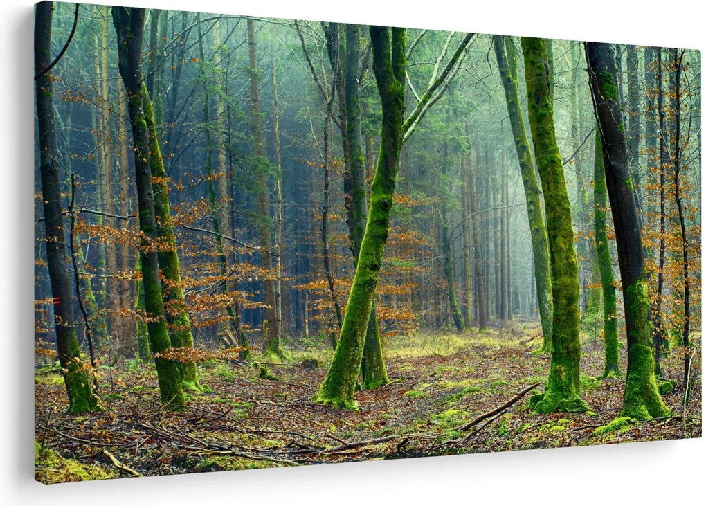 Az erdő képe (90x60 cm)