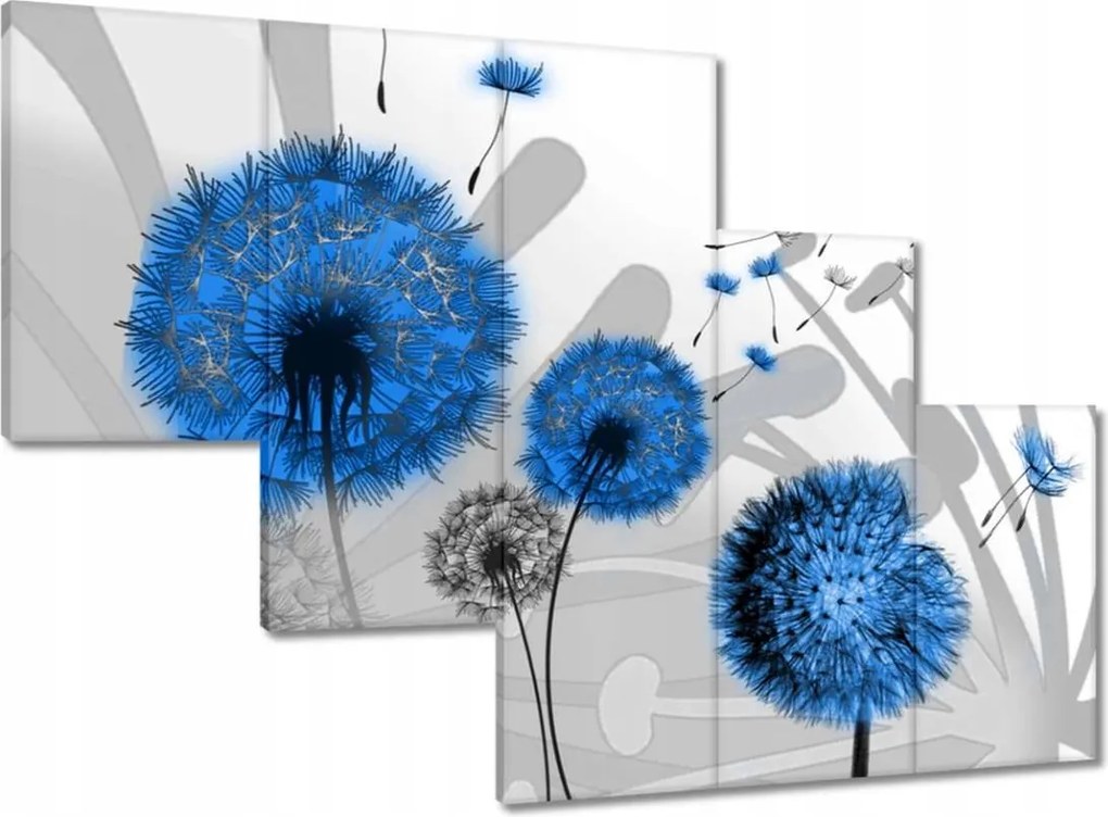 Képek 150x105 Kék pitypangok