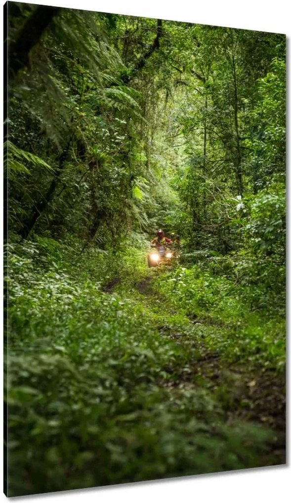 Vászonkép 80x120 Quad Négy kerék Terep