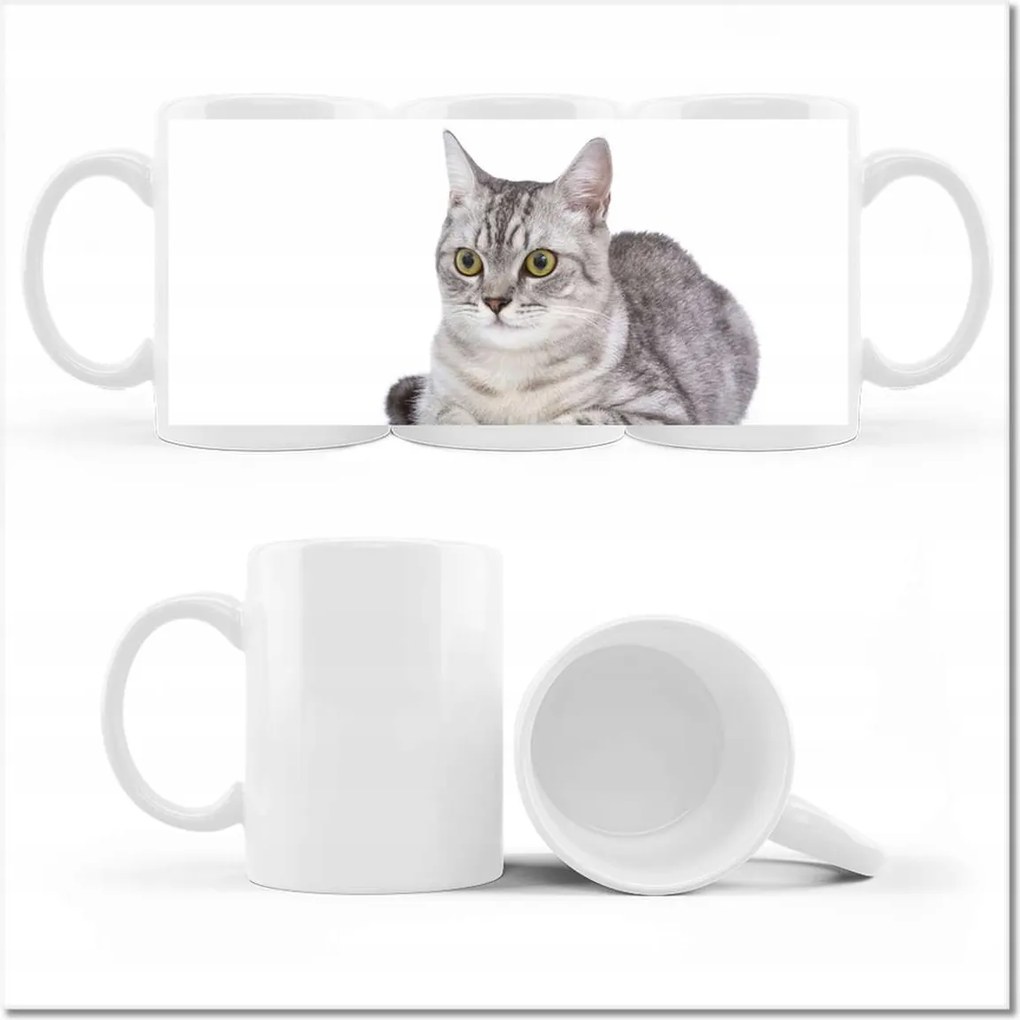 Nyomott mintás bögre Cica Cicák Macskák