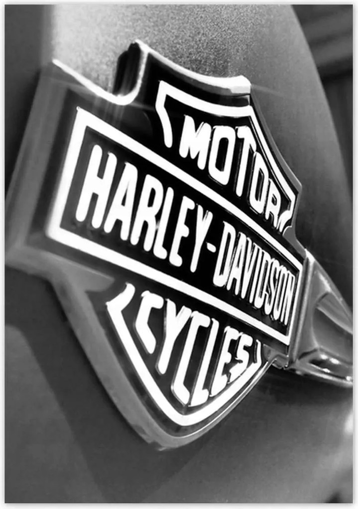 Poszterek 70x100 Harley Davidson logó
