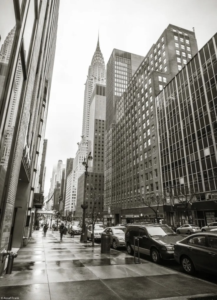 Poszter 20,5x28,4cm New York utca, Assaf Frank