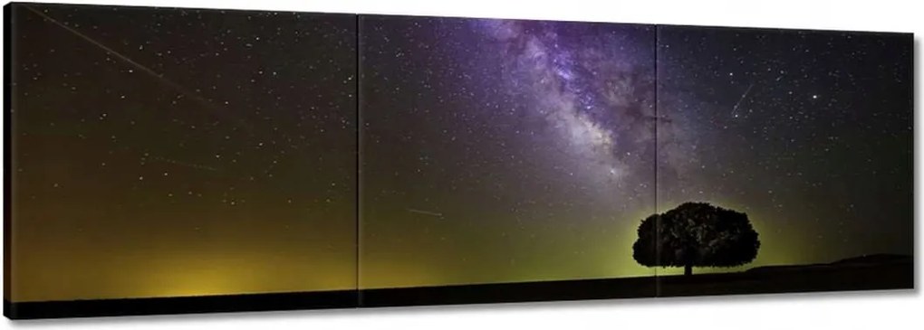 Vászonkép 120x40 Csillagos éj