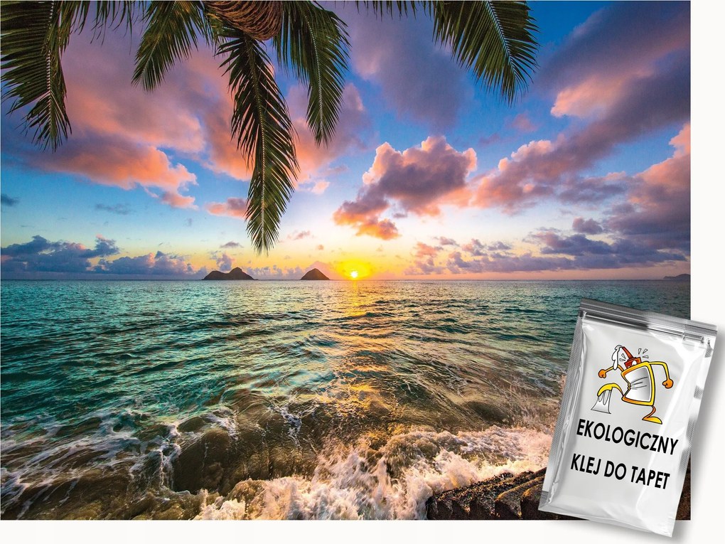 Fotótapéta Flizelina Tájkép Tengerpart Pálma Nap 300x210 ragasztó
