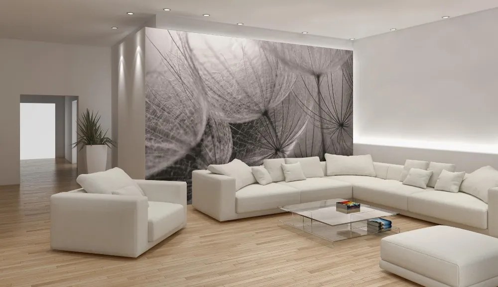 Pitypang poszter, fotótapéta, Vlies (208 x 146 cm)