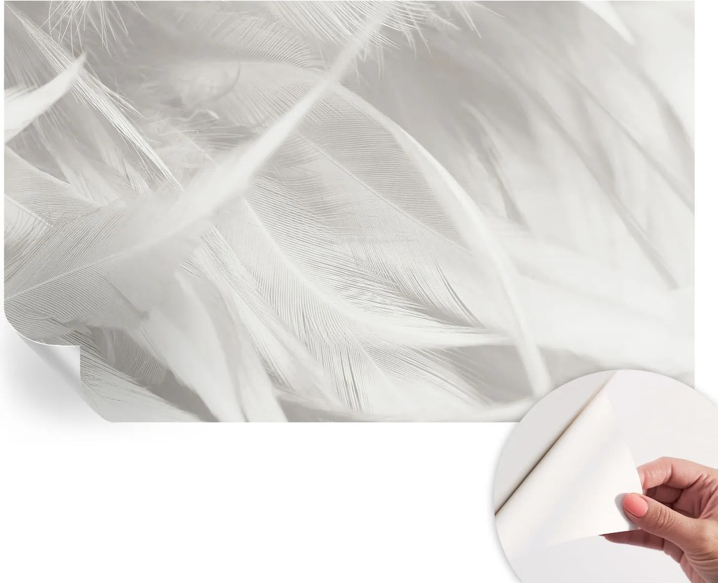 Modern öntapadós fotótapéta Mosható Finom tollak 416x254 cm