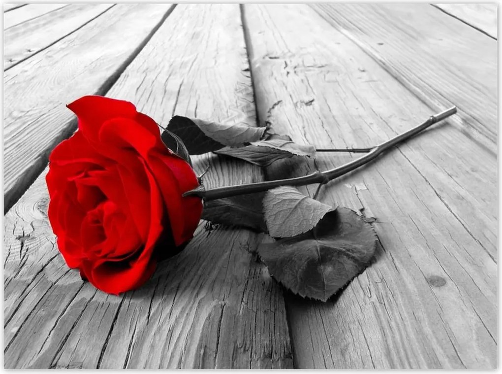 Poszterek 135x100 Vörös rózsa a fán