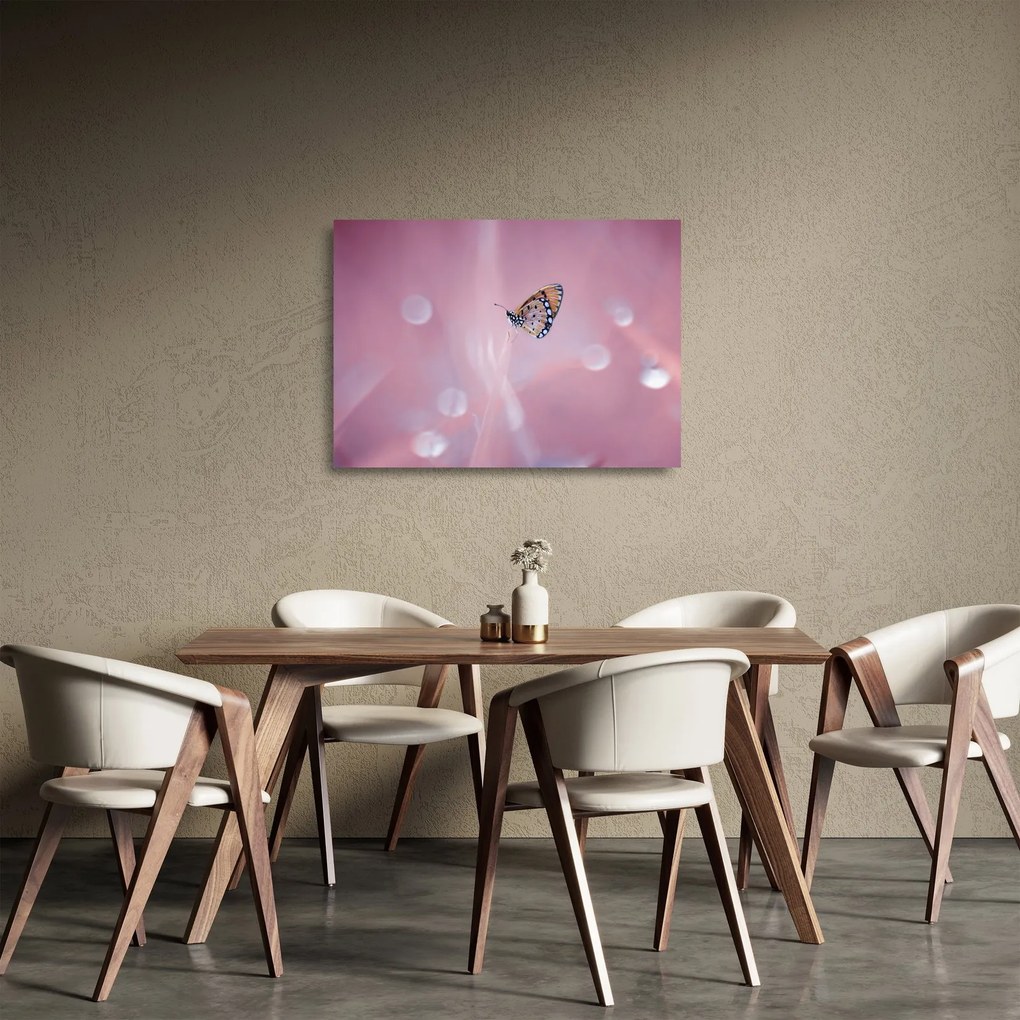 Üveg kép - Pillangó (70x50 cm)