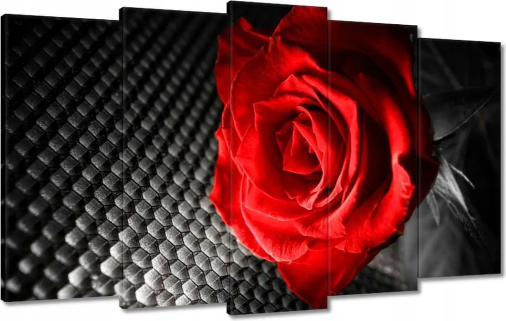 Vászonkép 100x60 Piros a szürkeség között