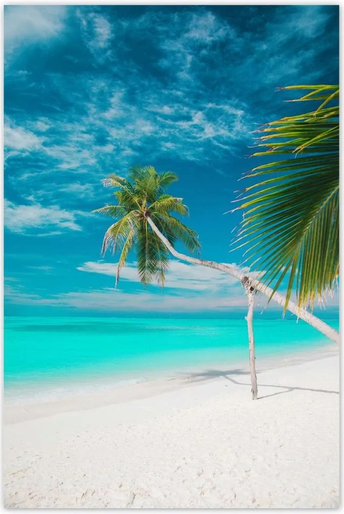 Poszterek 80x120 Tájkép Látvány