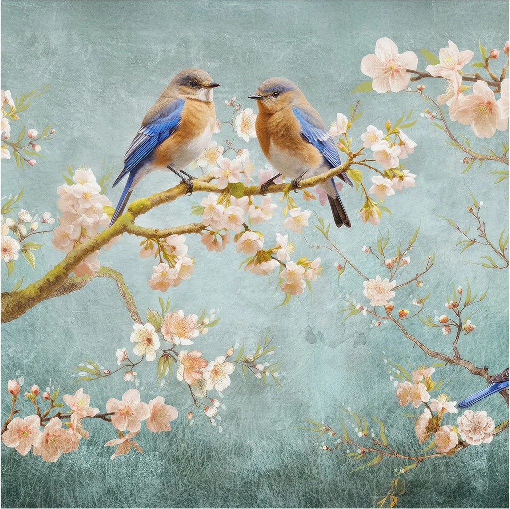 Fotótapéta Flizelin Tapéta Hálószobába és Nappaliba Tavaszi madarak 250x250