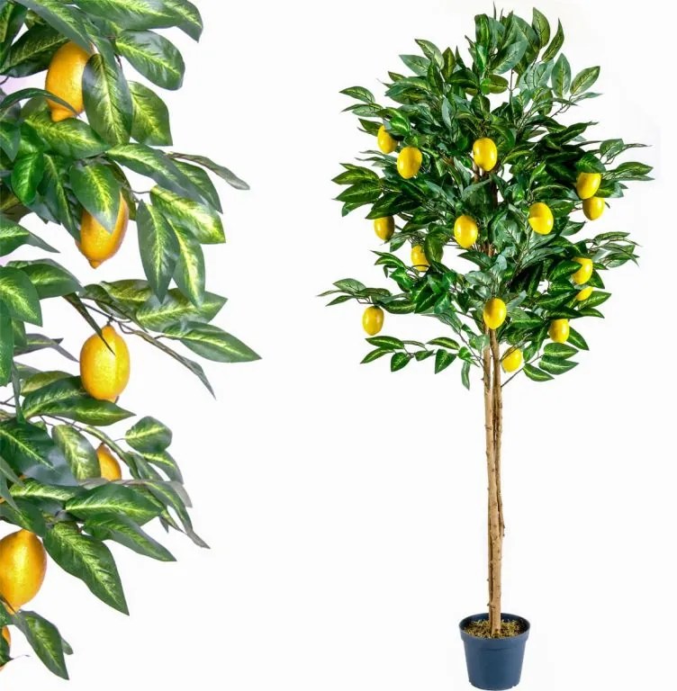 PLANTASIA Műnövény Citromfa 184 cm