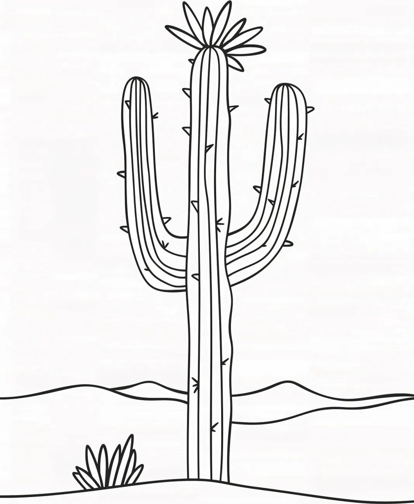 Poszter 40x55cm Sivatagi nagyfiú