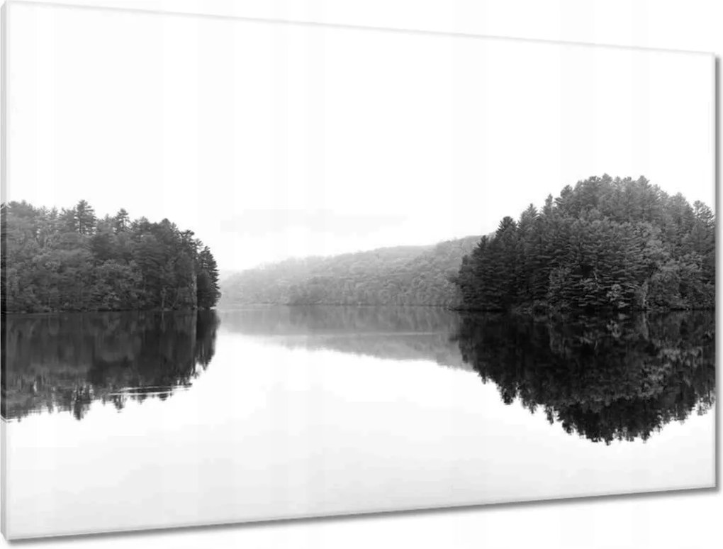 Vászonkép 120x80 Tó sziget Fekete