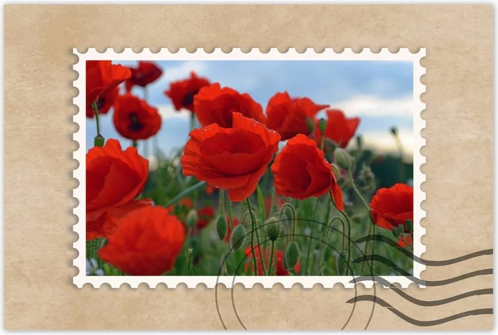 Poszterek 90x60 Mezei pipacsok az égbolt hátterében